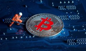 Aspakrindo Dorong Sinergi Pelaku Usaha dan Regulator untuk Maksimalkan Penerimaan Pajak Aset Kripto