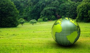 Green Economy dan Dampaknya pada UMKM