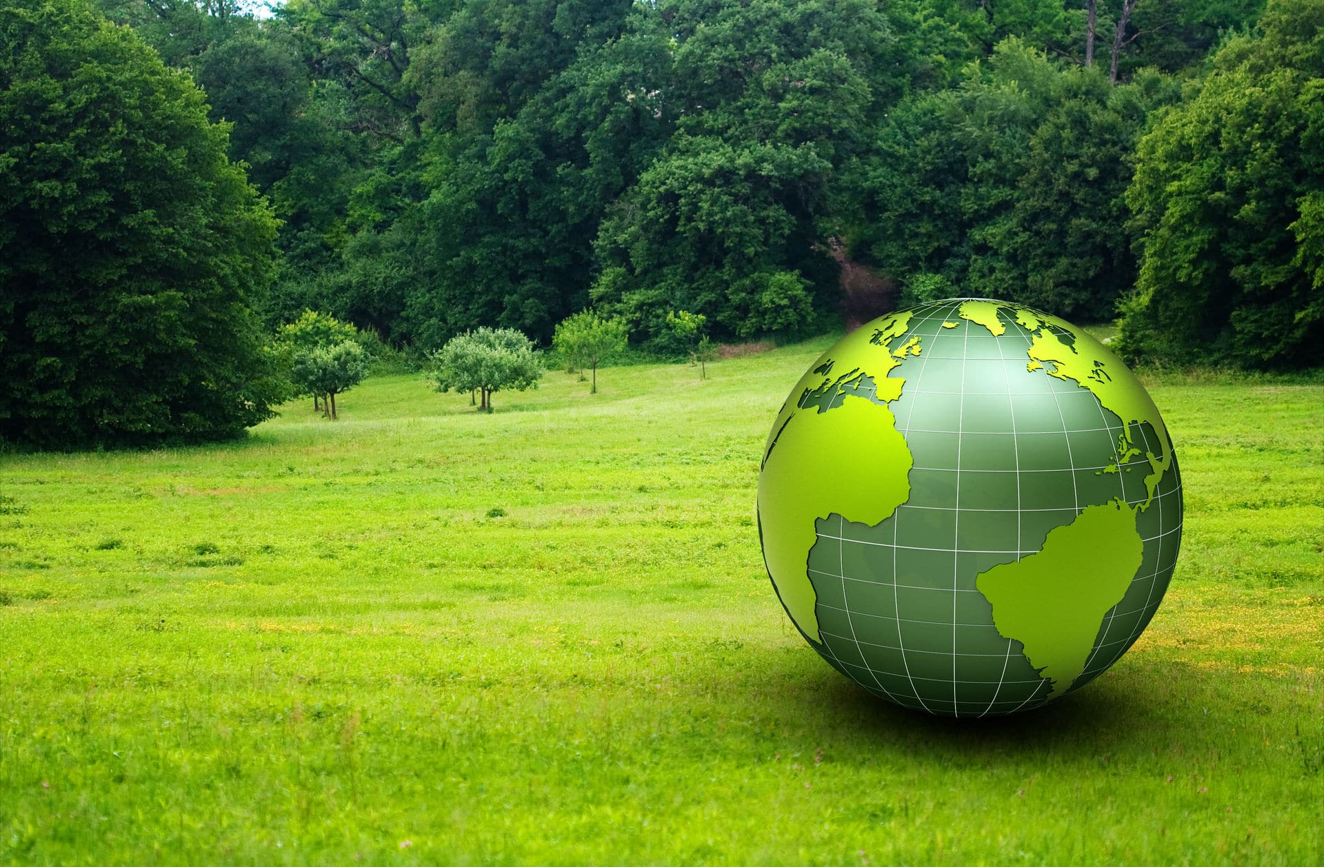 Green Economy dan Dampaknya pada UMKM