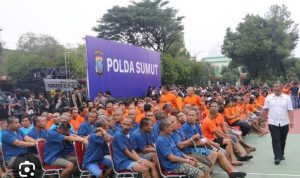 Pelaku yang diamankan Polda Sumut.(istimewa)