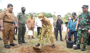 Bupati Tapsel Dolly Pasaribu saat mendampingi Pj Gubsu menanam Pohon Durian Musang King dihalaman belakang Mess Pemprovsu Sipirok, Selasa (30/1-24). Foto : BP/Ist