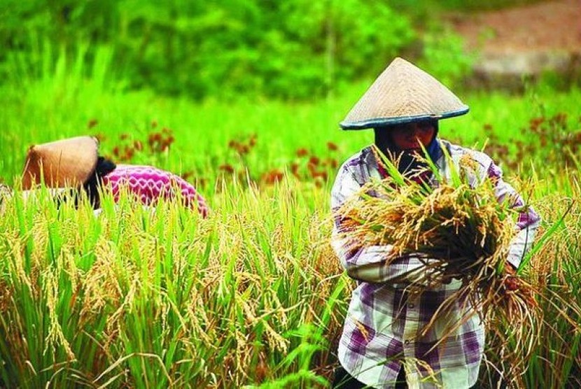 Investasi di Sektor Pangan dan Energi Hijau Lebih Menjanjikan