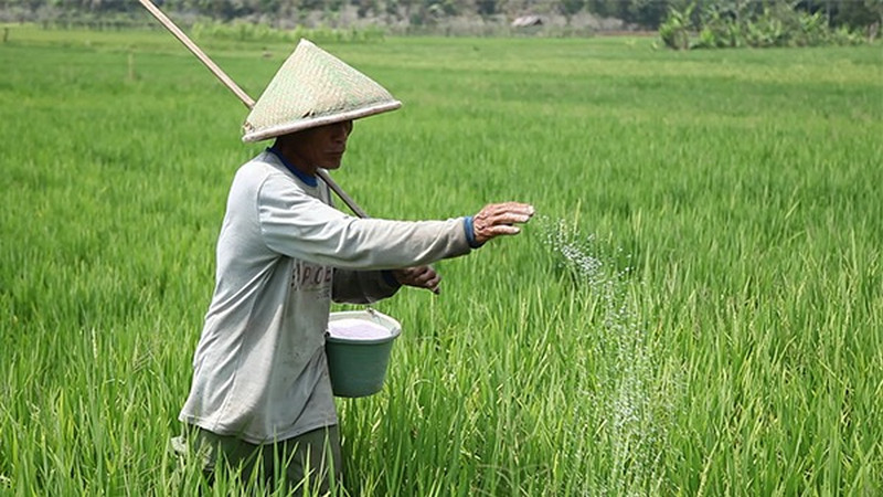 Kementerian Pertanian Sediakan Tambahan Anggaran untuk Pupuk Subsidi