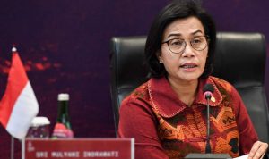 Menteri Keuangan Dorong Peran Pemerintah dalam Pembiayaan Sektor Swasta