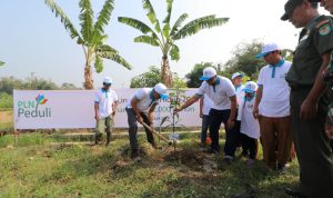 PLN Tanam 283.739 Pohon dalam Program Tanggung Jawab Sosial Lingkungan