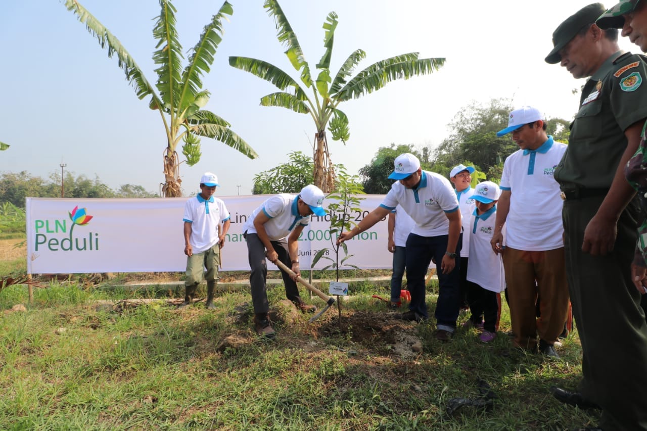 PLN Tanam 283.739 Pohon dalam Program Tanggung Jawab Sosial Lingkungan