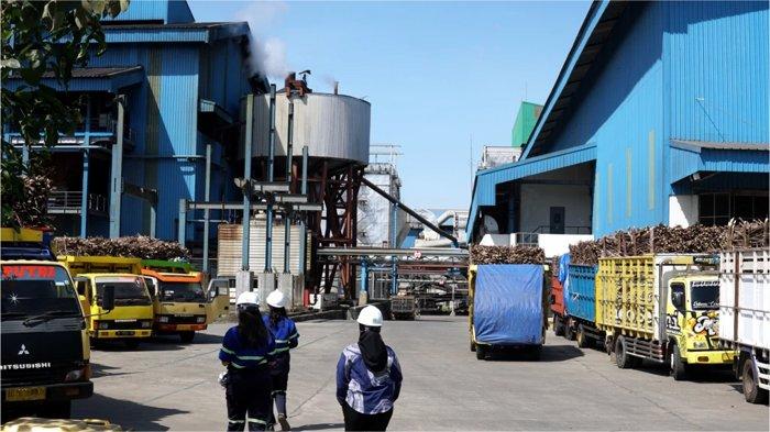 Pabrik Gula Rejoso Manis Indo Menurunkan Target Produksi Gula di Tengah Tantangan Cuaca
