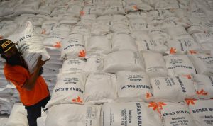 Pemerintah Berpotensi Setop Impor Beras Dengan Syarat Ini