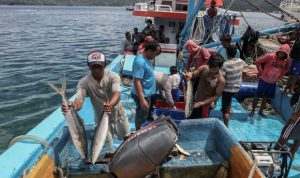 Pemerintah Salurkan KUR hingga Rp350 Juta untuk Nelayan