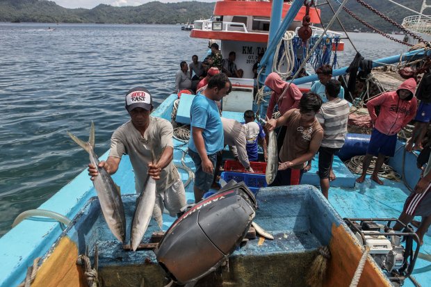 Pemerintah Salurkan KUR hingga Rp350 Juta untuk Nelayan