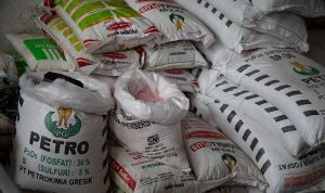 Pemerintah Tambah Anggaran Subsidi Pupuk untuk Atasi Kelangkaan