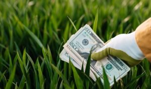 Peneliti CSIS: Pemberian Insentif Dapat Mencegah Green Inflation