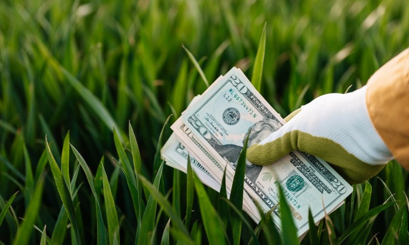 Peneliti CSIS: Pemberian Insentif Dapat Mencegah Green Inflation