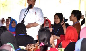 Presiden Jokowi Apresiasi Sinergi PNM dan Holding Ultra Mikro
