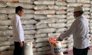 Presiden Jokowi dan Kepala BPN Cek Stok Beras di Gudang Bulog Bantul