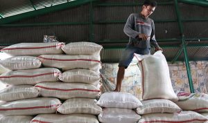 Produksi Beras di 2024 Kurang dari Kebutuhan