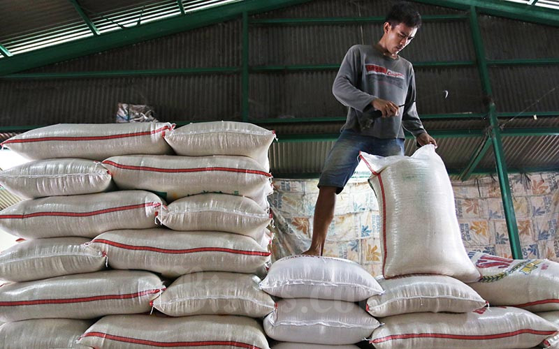 Produksi Beras di 2024 Kurang dari Kebutuhan