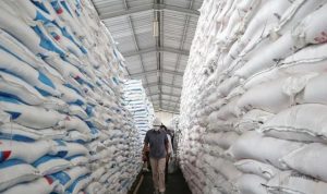 Pupuk Bersubsidi Dijamin tersedia di kios