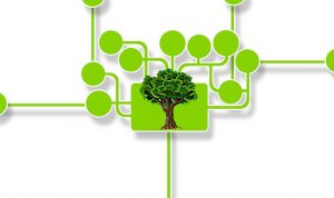 Sustainable Finance: Pertumbuhan Ekonomi dengan Menjaga Lingkungan