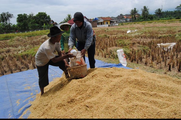 Wapres: Rencana Impor Beras 5 Juta Ton Bersifat Antisipatif