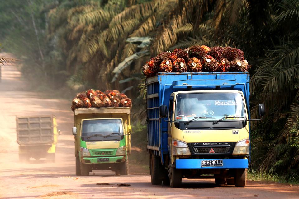 Bappebti Evaluasi Bursa CPO sebagai Penentu Harga Minyak Kelapa Sawit