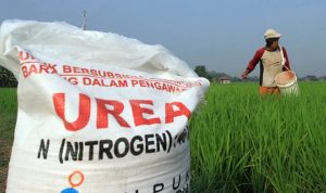 DPR RI Dukung Penambahan Pupuk Subsidi untuk Petani