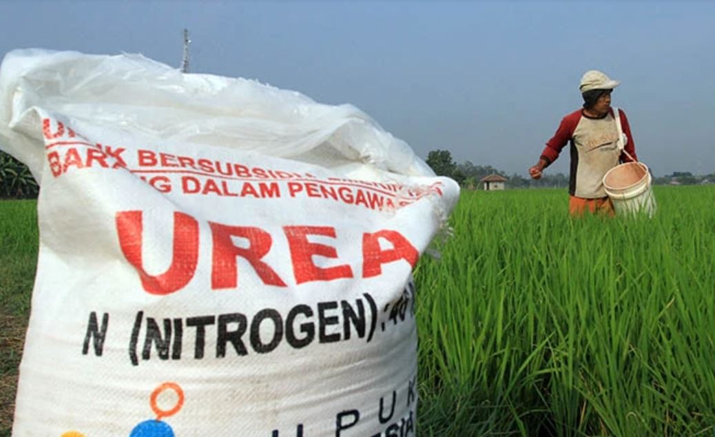 DPR RI Dukung Penambahan Pupuk Subsidi untuk Petani