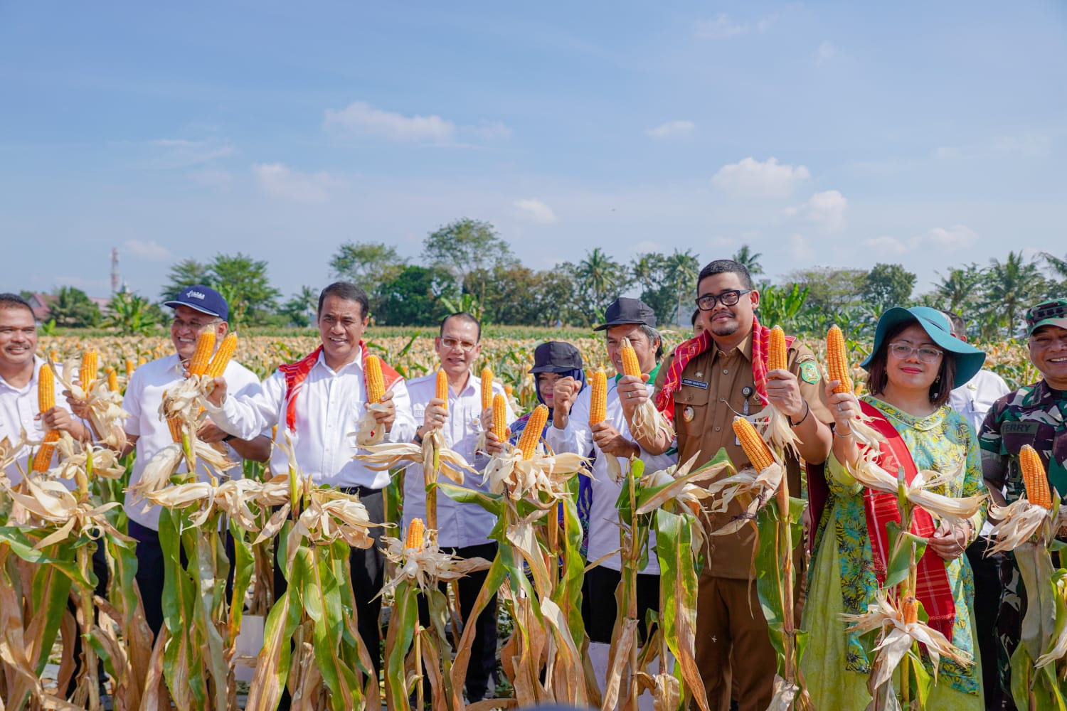 Mentan dan Wali Kota Medan Bobby Nasution saat panen 8 ton jagung di Kecamatan Medan Tuntungan. BP/erwan