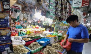 Inflasi Januari 2024 Terkendali, Didorong oleh Penurunan Harga Pangan
