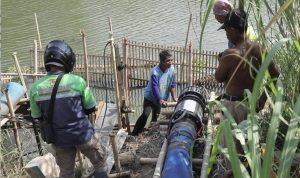 Kementerian Pertanian Pusatkan Program Pompanisasi untuk Atasi Dampak El Nino