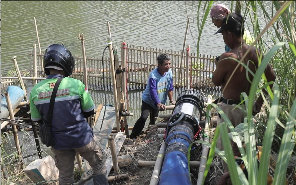 Kementerian Pertanian Pusatkan Program Pompanisasi untuk Atasi Dampak El Nino