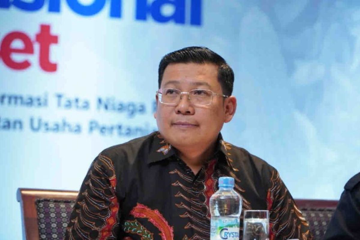 Kepala Bapanas Minta Masyarakat Hindari Panic Buying Beras
