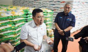 Kepala Bapanas Pastikan Importasi Beras Distop saat Panen Raya Mendatang