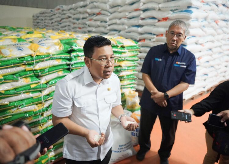 Kepala Bapanas Pastikan Importasi Beras Distop saat Panen Raya Mendatang