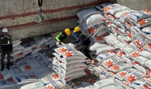 Pemerintah Akan Impor 1,6 Juta Ton Beras untuk Atasi Kekurangan Pasokan