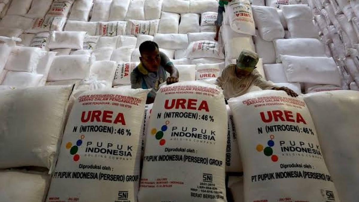 Pemerintah Naikkan Kuota Pupuk Bersubsidi Menjadi 9,55 Juta Ton di Tahun 2024