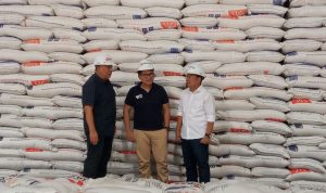 Pemerintah Siapkan Impor 1,6 Juta Ton Beras untuk Stok Cadangan Bulog