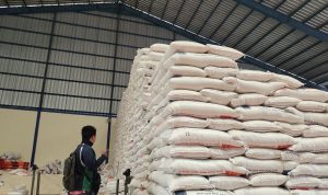 Pemprov Lampung Jamin Ketersediaan Beras menjelang Ramadhan