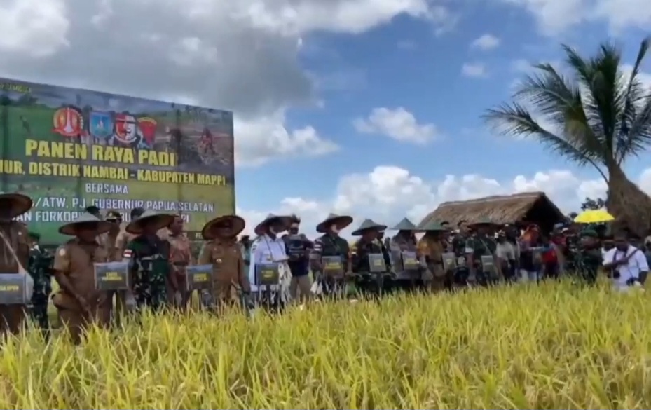 Potensi Panen Raya Padi Diprediksi Mencapai Lebih dari 3,5 Juta Ton di Bulan Maret 2024