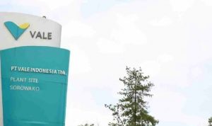 Proses Divestasi 14 Persen Saham PT Vale Indonesia ke Indonesia Disepakati oleh Menteri ESDM