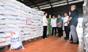 Stok Cadangan Beras Pemerintah Aman 1,4 Juta Ton