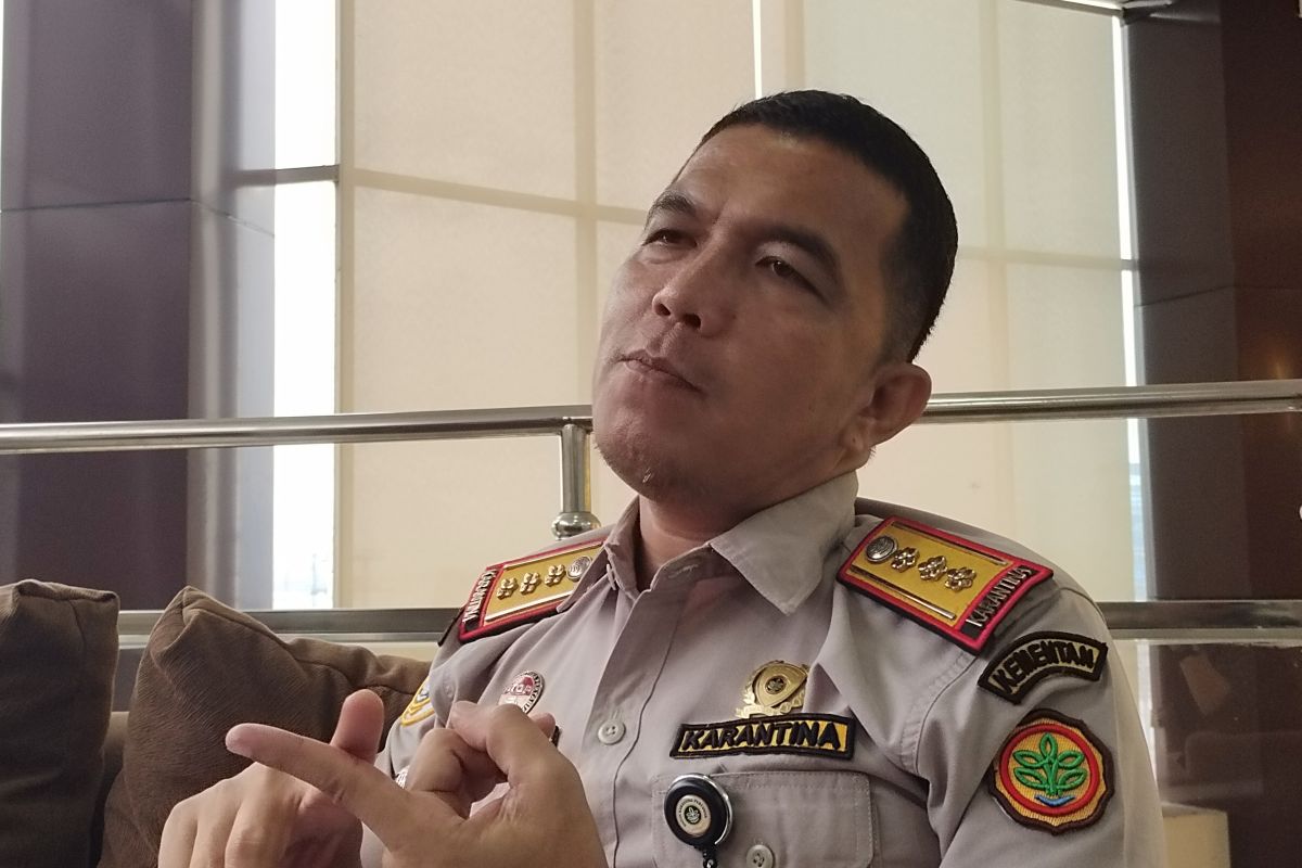 Volume Ekspor Komoditas Pertanian Lampung Mencapai 2.410.528 Ton di 2023