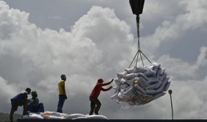 Pemerintah Fokus Stabilkan Pasokan Beras untuk Kebutuhan Masyarakat