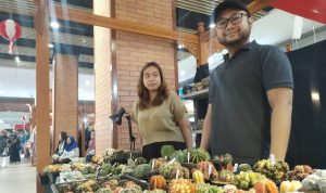Diperlukan Gebrakan Baru dalam Kebijakan Fiskal untuk Pertumbuhan UMKM