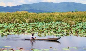 Sumber: lestari.kompas.com, Indonesia.wetlands.org