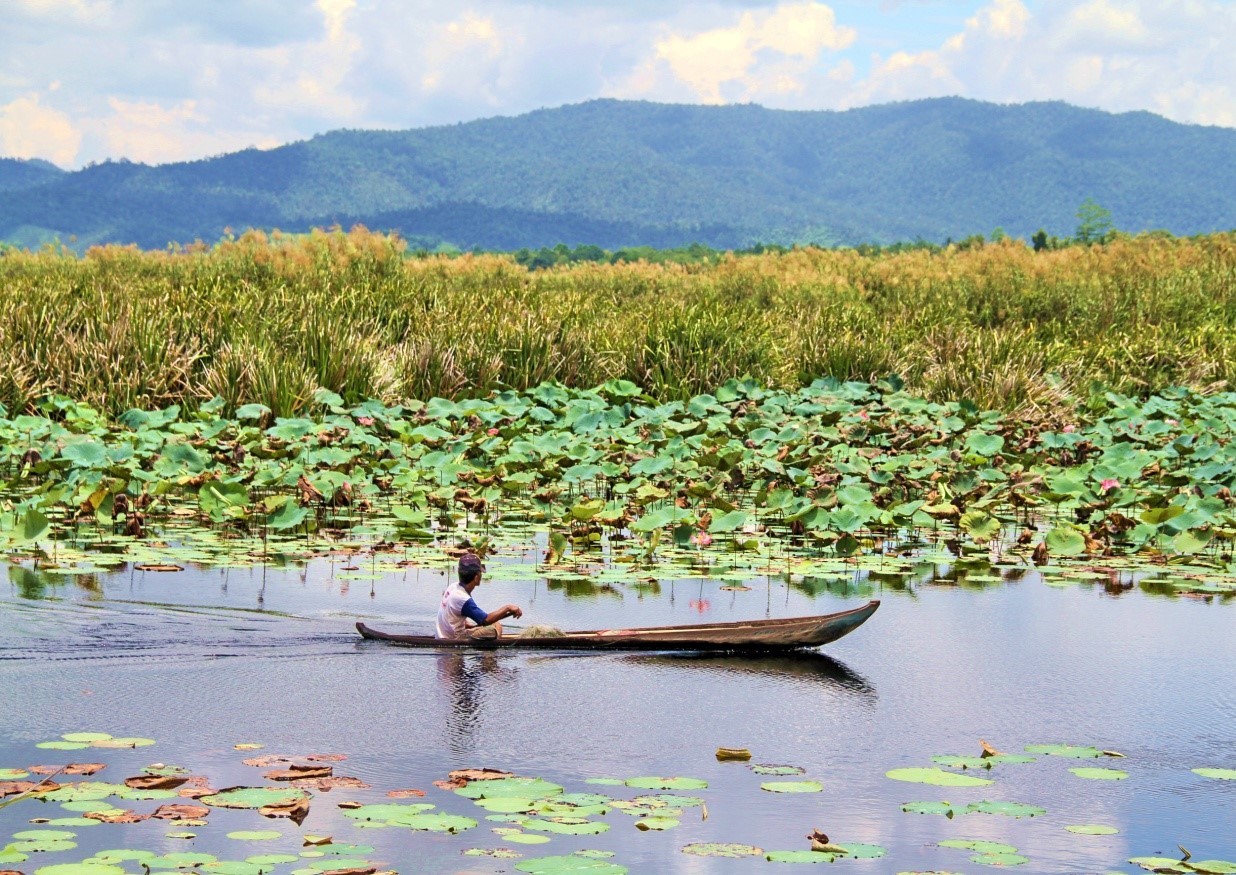 Sumber: lestari.kompas.com, Indonesia.wetlands.org