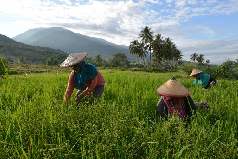 Sumber: detik.com