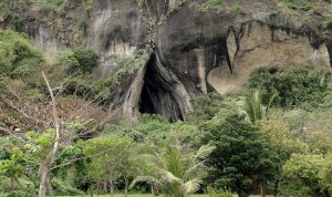 Sumber: mongabay.co.id