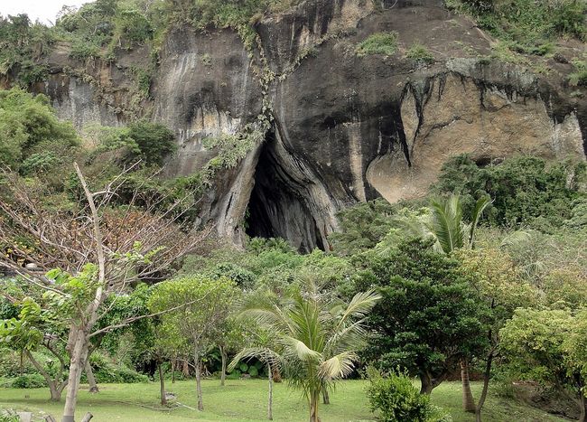 Sumber: mongabay.co.id