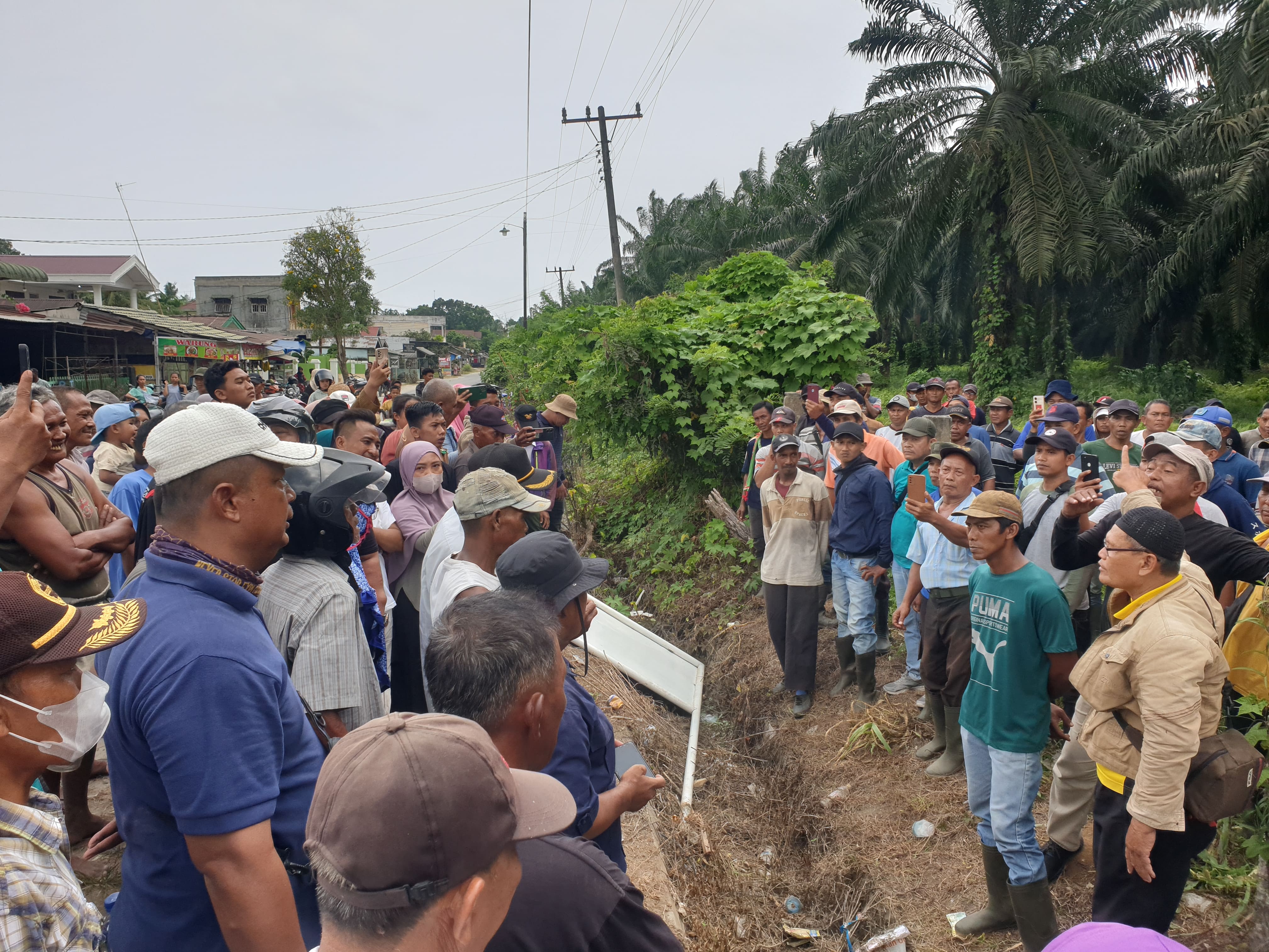 Kelompok Tani Masyarakat Ingin Makmur (KTMIM) Nyaris Bentrok dengan pihak kebun PT. Buana Estate. Foto: Sangkot Sihotang. 